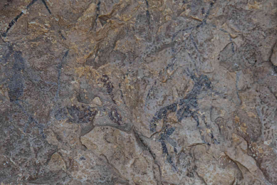 Castelló de la Plana - Tirig 14 - coves del Civil o Ribassals